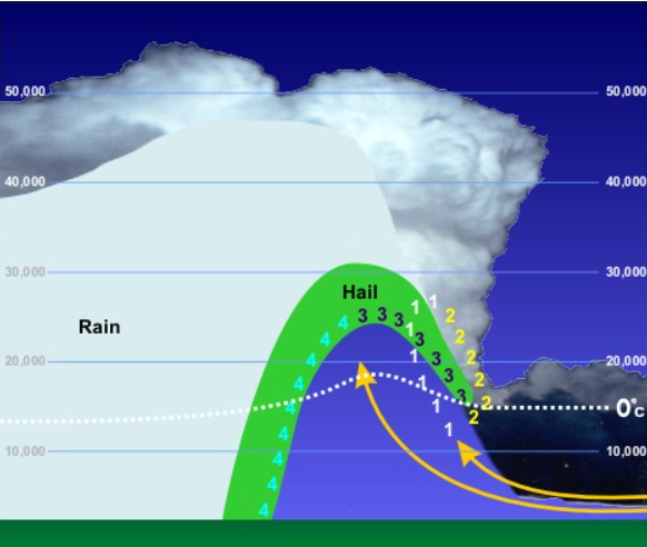 the stronger the updraft and the more times hail collides with supercooled droplets, the larger the hailstones