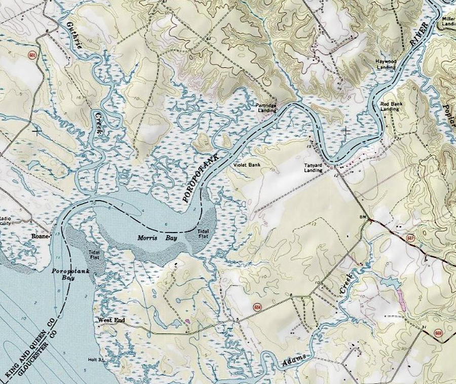 a Middle Woodland shell midden (Site 44KQ0176) in the Poropotank River is disappearing due to sea level rise