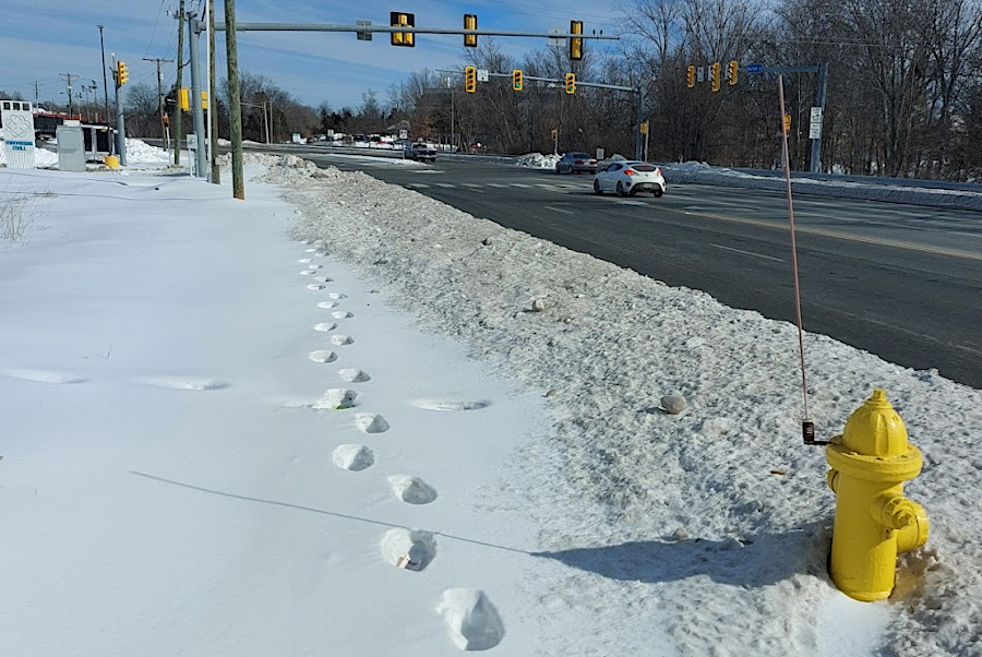 Virginia Department of Transportation (VDOT) does not clear snow from sidewalks and shared use paths
