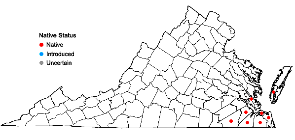 a warmer climate will allow Spanish moss (Tillandsia usneoides) to expand its current range further north towards the Maryland border