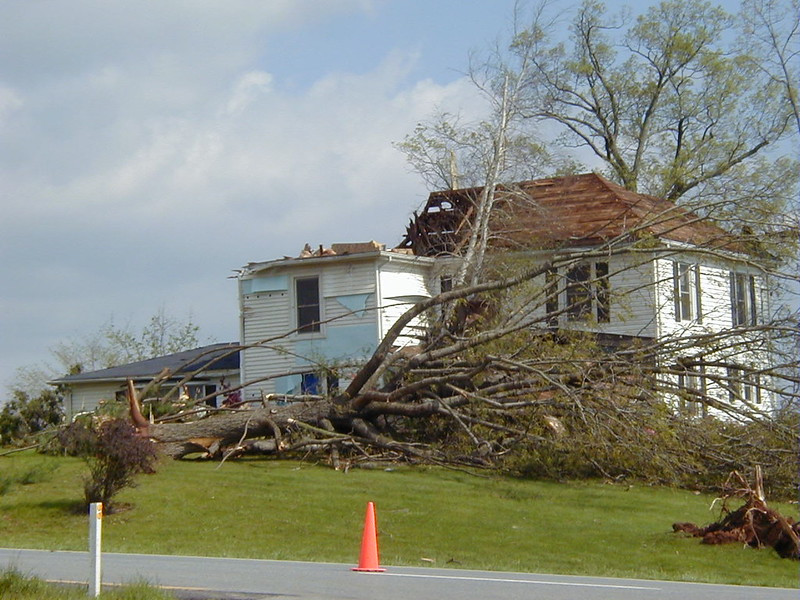 shade trees next to houses can become projectiles and bludgeons in a tornado