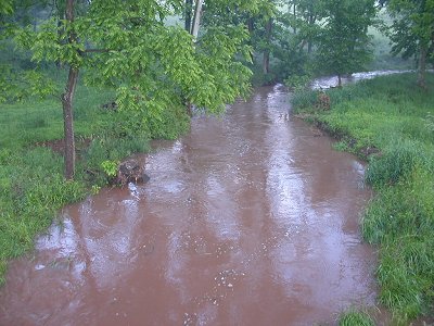 Young's Branch on Manassas National Battlefield Park at 
