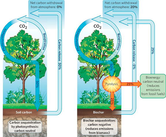 biochar delays return of carbon into the atmosphere