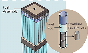 uranium fuel pellets are encased in metal rods, which are then bundled together to create a fuel assembly