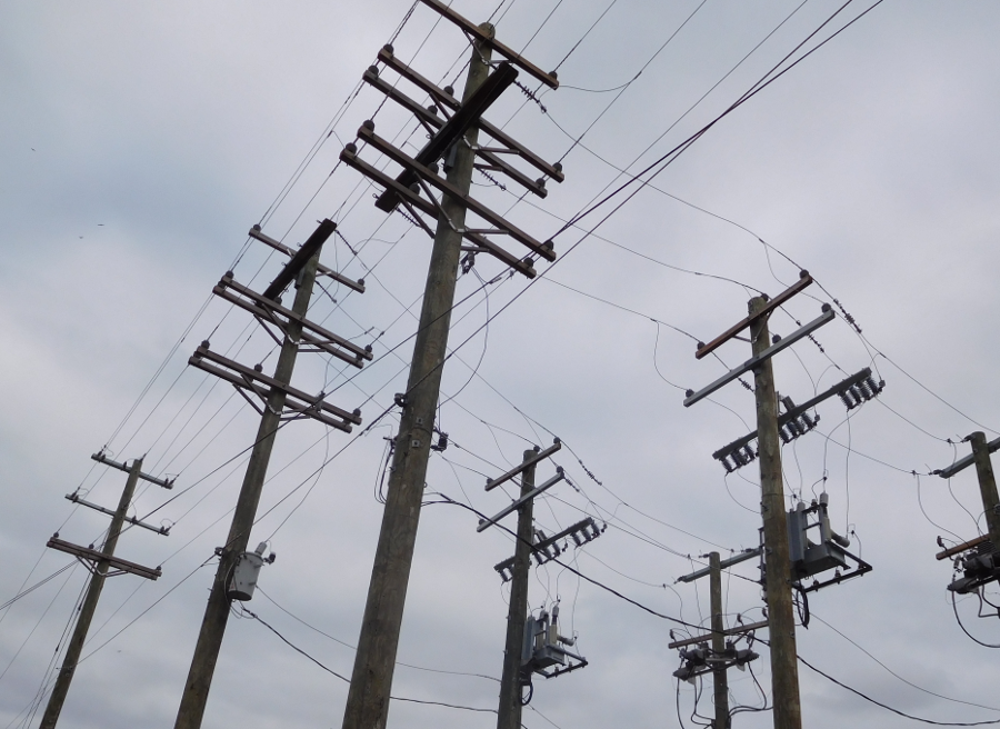 electricity generated at a few central power plants is distributed by a network of wires connecting to nearly every structure in Virginia