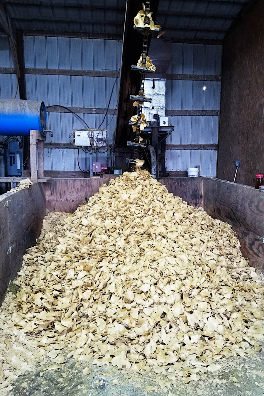 soybeans are crushed at Riverhill Farms to extract the oil used for biodiesel