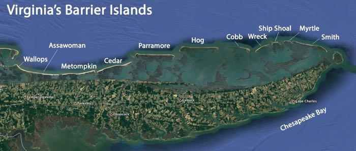 Virginia has 11 major barrier islands