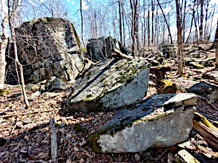 once-buried basalt is exposed at Conway Robinson State Forest