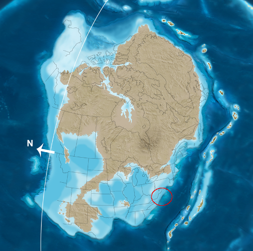 the limestone formations in the Valley and Ridge province were deposited on the edge of the tectonic plate before the collision with Africa