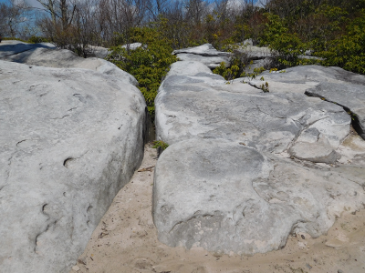 The Channels was created when joints and fractures in the sandstone at the top of Clinch Mountain were widened by the freezing and thawing of ice during the Pleistocene
