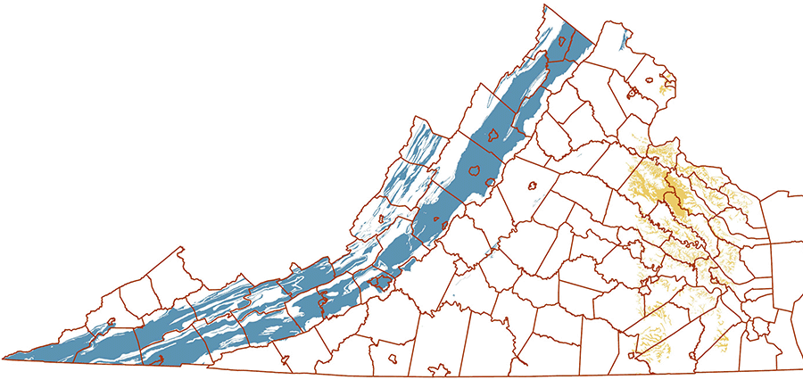 sinkholes form in the Coastal Plain where calcium-rich bedrock in Chesapeake Group sedimentary formations has dissolved