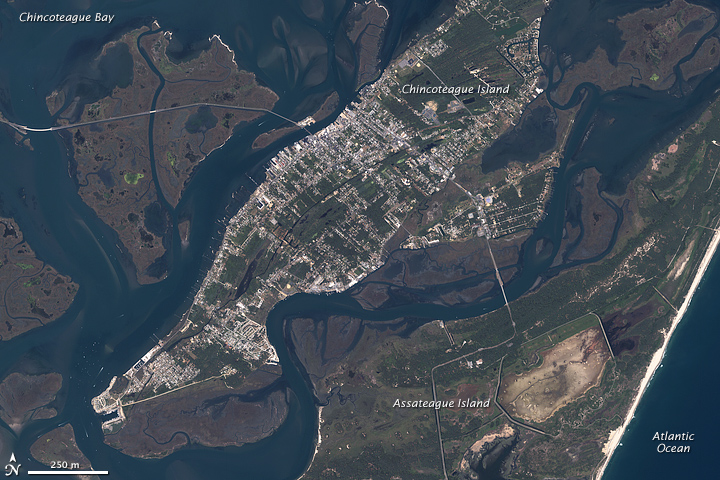 if you think sea levels are rising and the Town of Chincoteague should be protected rather than abandoned... what actions should be taken to protect the barrier island, and who should pay?