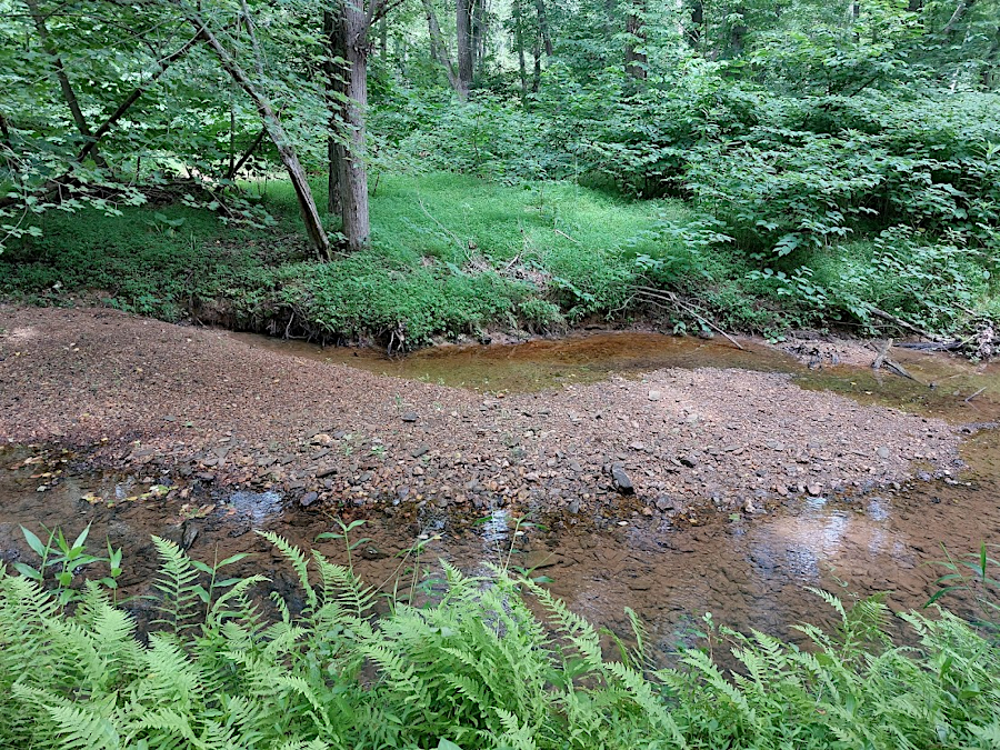 erosion naturally lowers land elevation and creates gravel bars in creek valleys (Fraser Preserve, Fairfax County)