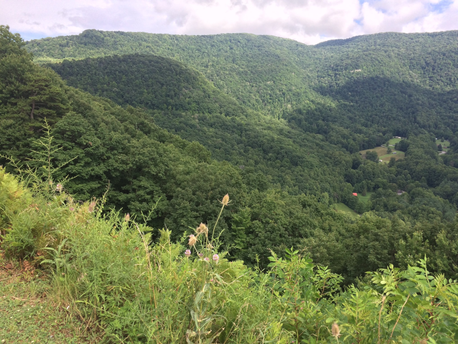 Butcher Fork is eroding the ridges in Wise County, as seen from Powell Valley Overlook on US 23