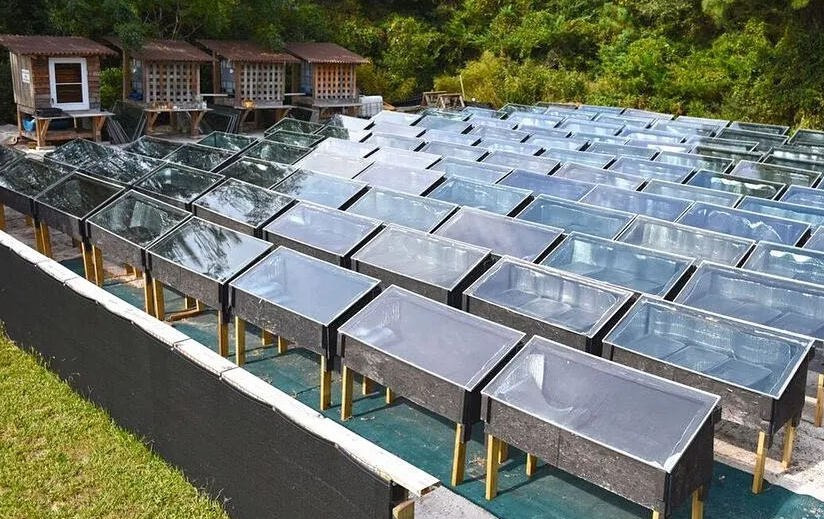 Hatteras Saltworks uses solar energy to evaporate brine and make salt from seawater