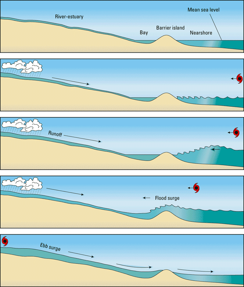 storm surges can move barrier island sediments from multiple directions - including ebb-tide deposits from bay-side