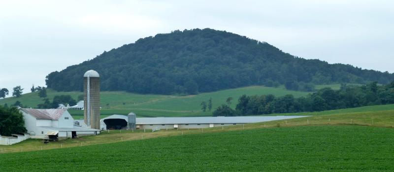 Mole Hill is volcanic basalt that erupted 48 million years ago, and the remnant plug erodes slower than surrounding limestone west of Harrisonburg