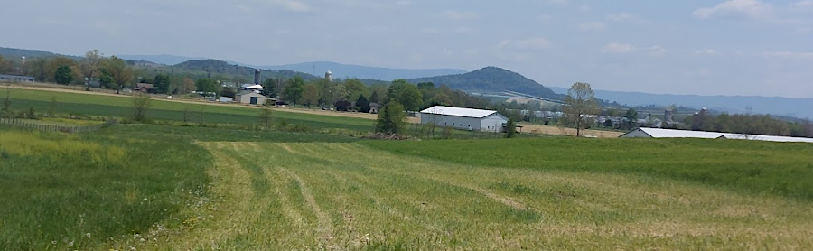 Mole Hill has been slower to erode than surrounding shale and limestone