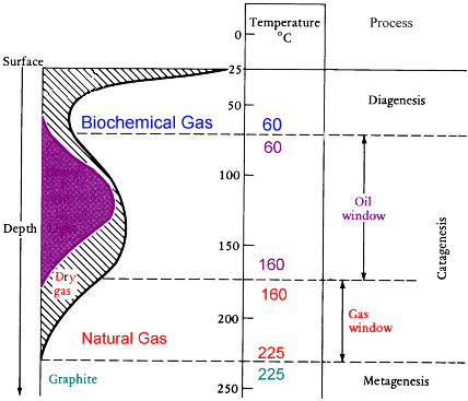 heat/pressure are required to convert organic-rich marine sediments into oil, but additional heat/pressure will transform liquid oil into natural gas