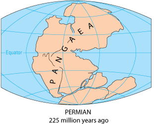 Virginia located in the center of Pangea near the G, before the breakup