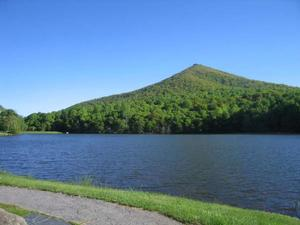 Peaks of Otter (Bedford County)