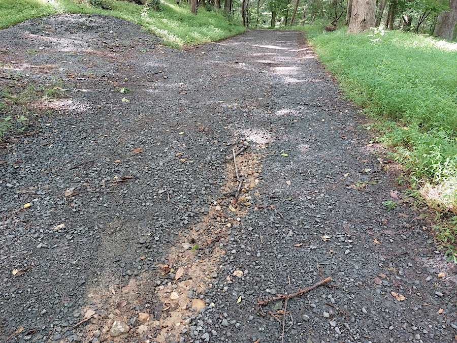dark gray basalt gravel used for a road has a distinctly different color from the underlying bedrock at Fraser Preserve in northern Fairfax County