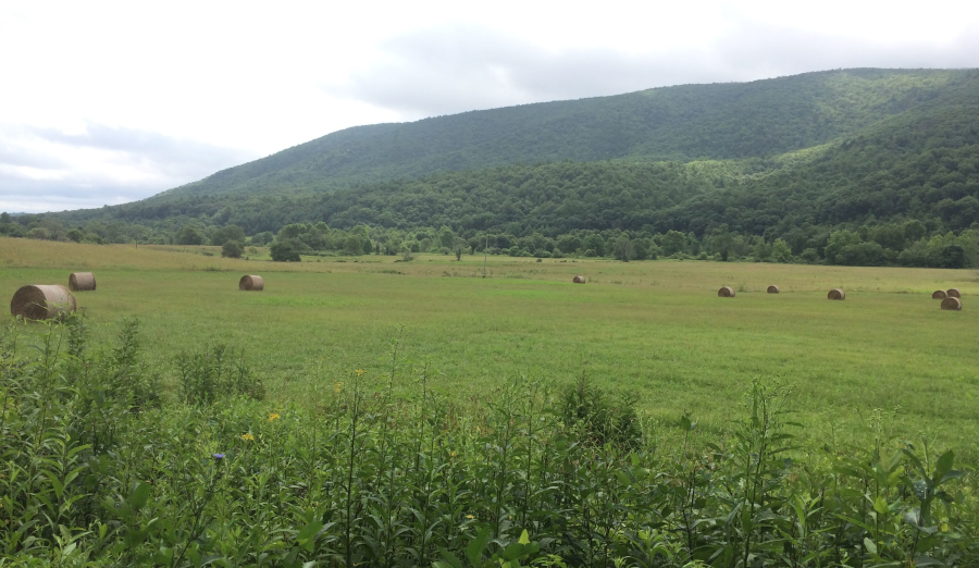 Rich Mountain and the valley carved out by Clear Fork of the Clinch River, in Bland County