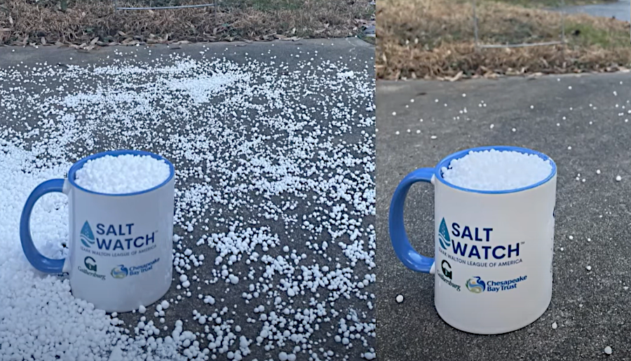 most property owners scatter far more salt than is required to melt ice from sidewalks and driveways