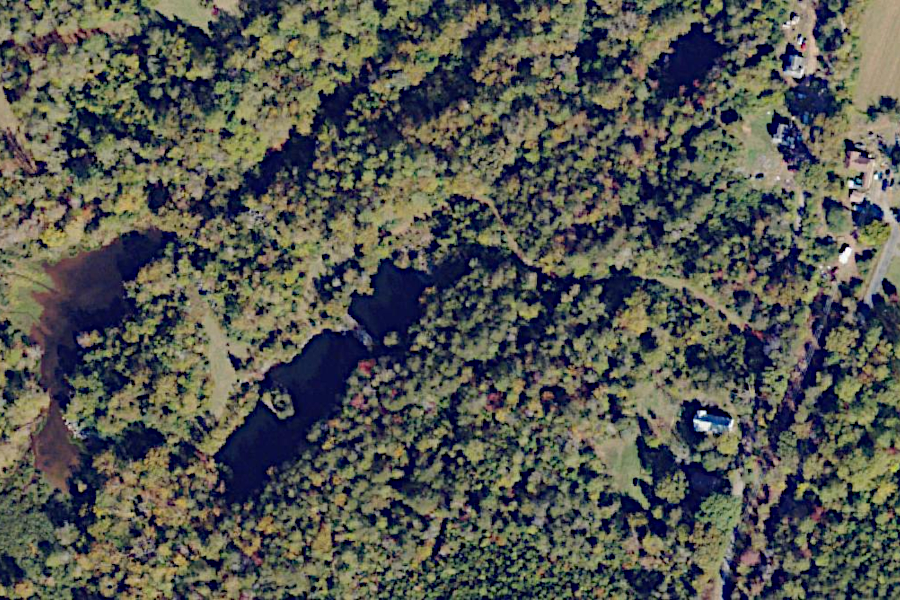 vegetation largely obscures the Alberene quarries now, except when viewed at ground level