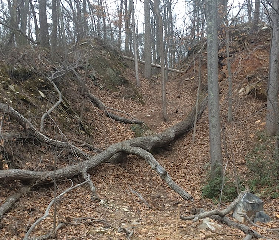 since the Civil War, the forest has regrown over the historic quarry at Thoroughfare Gap in western Prince William County