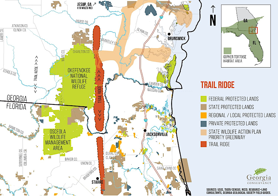 proposed titanium mining on Georgia's Coastal Plain could alter the hydrology that sustains the Okefenokee Swamp and National Wildlife Refuge