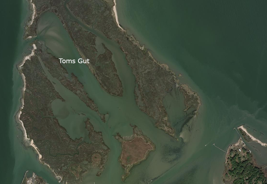 on Tangier Island today, Toms Gut stretches across Uppards and storm erosion is enhanced by opening on west side