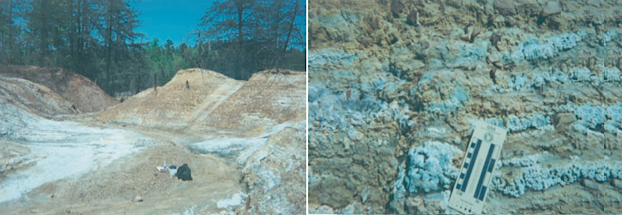 efflorescent sulfate salts grew on tailings from Valzinco and Mitchell mines in Spotsylvania County