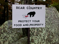 wild bears are common in Shenandoah National Park, and appear almost annually in the suburbs of Loudoun, Prince William, and even Fairfax counties