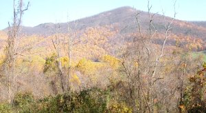 Blue Ridge near Pipers Gap