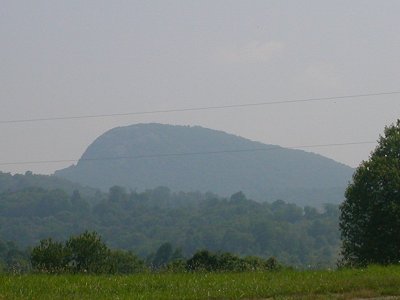 Buffalo Mountain (can you guess at the origin of the name?)