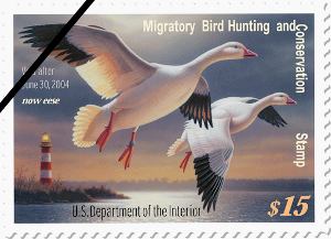the 2003-2004 Federal Duck Stamp included the Assateague Lighthouse behind the snow geese