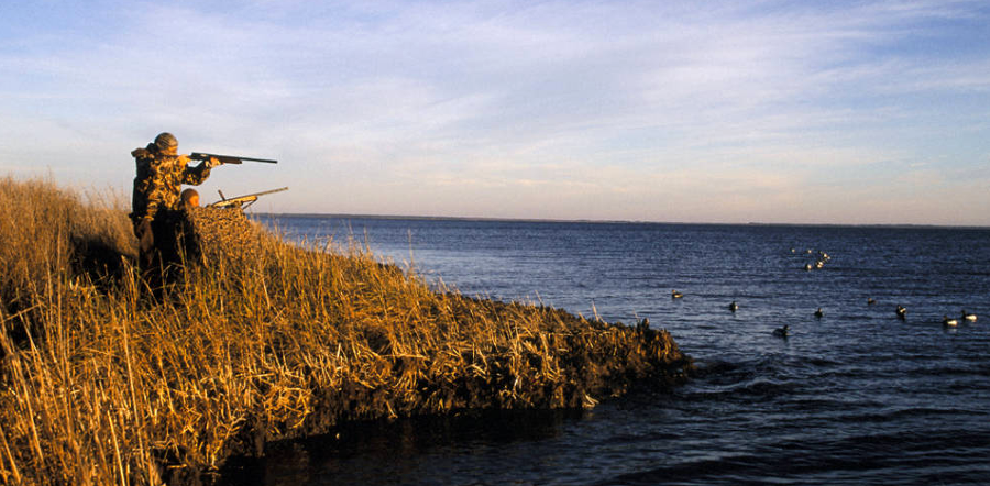 most land acquisition for wildlife refuges in Virginia was funded by hunters who purchased Federal Duck Stamps