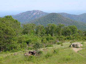 Old Rag Mountain