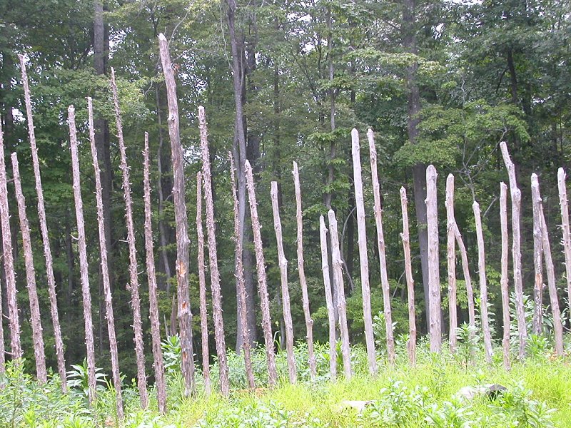 widely-separated poles in the palisade around the reconstructed Totero site at Explore Park near Roanoke show it was designed to slow an attack, not to block all arrows
