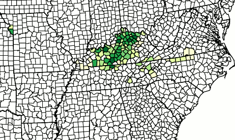 counties growing burley tobacco, 2008