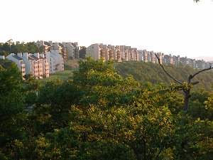 Wintergreen Resort view