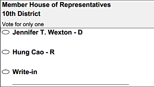 ballots identify candidates in partisan races as D (Democrat) and R (Republican)