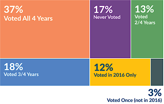 17% of voters registered in 2016 never chose to vote in an election before November 3, 2020