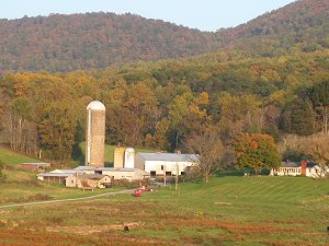 Bedford County Farm