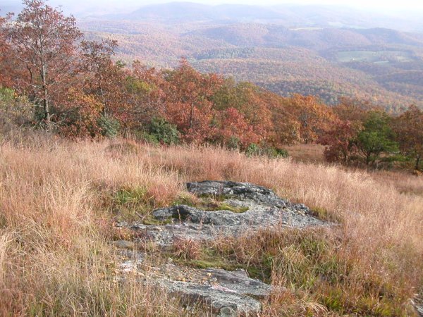 View from Buffalo Mountain (Floyd County)