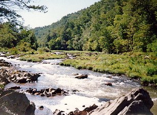 Falls of the Little River