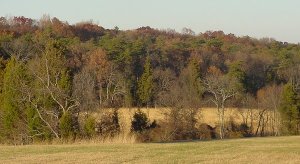 landscape at Manassas Battlefield