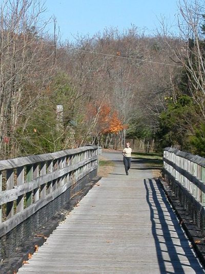 New River Trail (Wythe County)