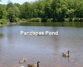 James Pandapas dammed Poverty Creek to create a recreation site for his employees, and then later sold the pond to the US Forest Service